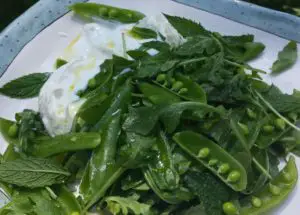 snap peas and burrata spring salad