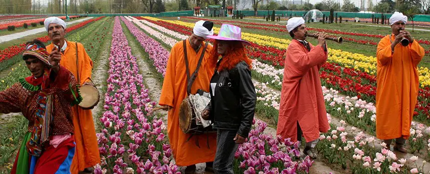Tulip Festival Jammu and Kashmir