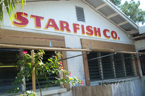 Storefront of Starfish Company Longboat Key