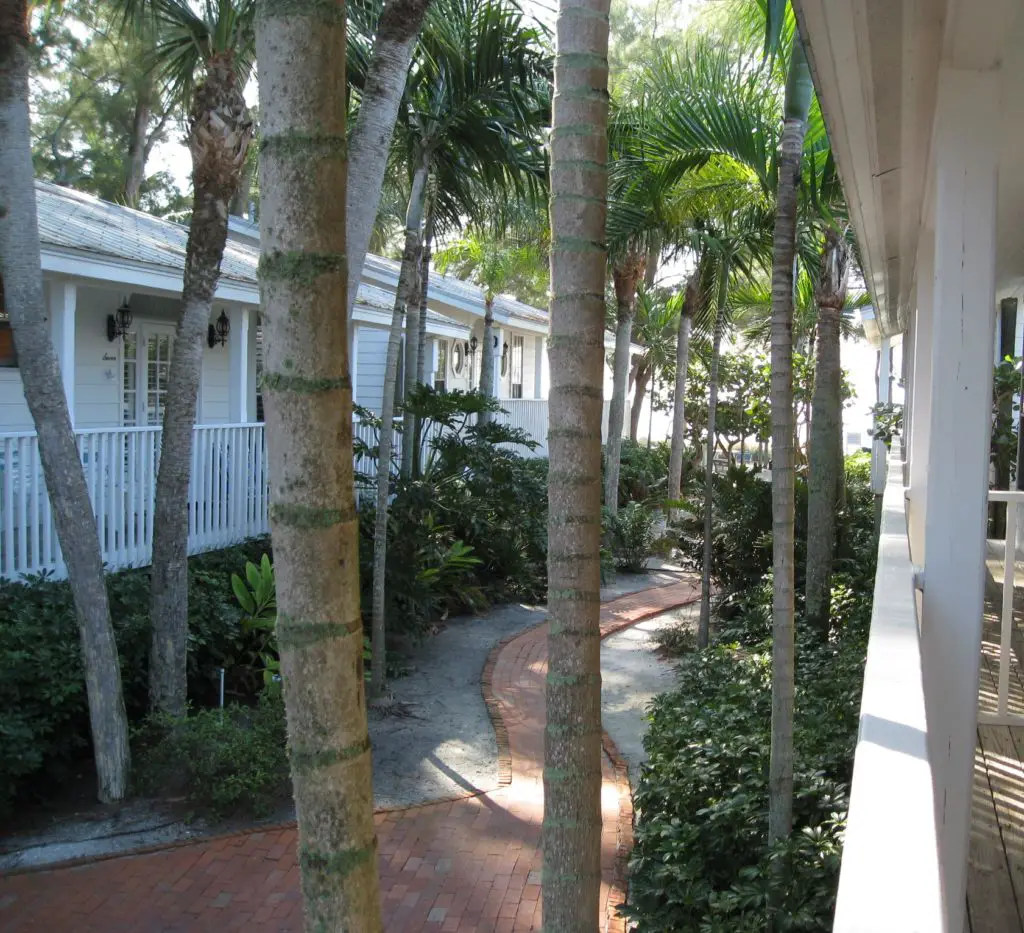 palm trees and path on Longboat Key