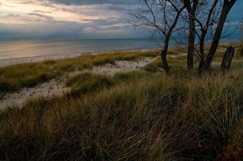 Indiana Dunes National Lakeshore