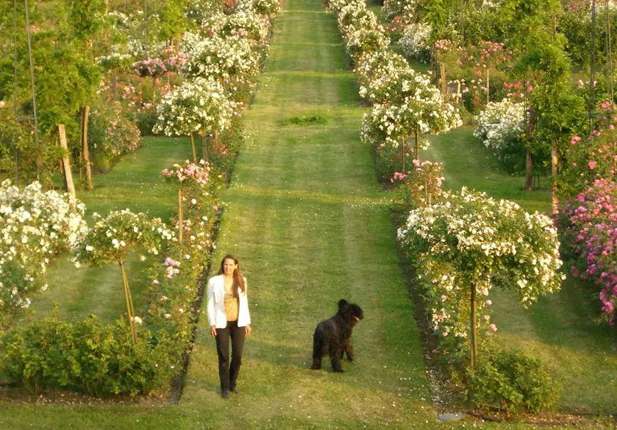 Mary Pochez in chateau rose garden