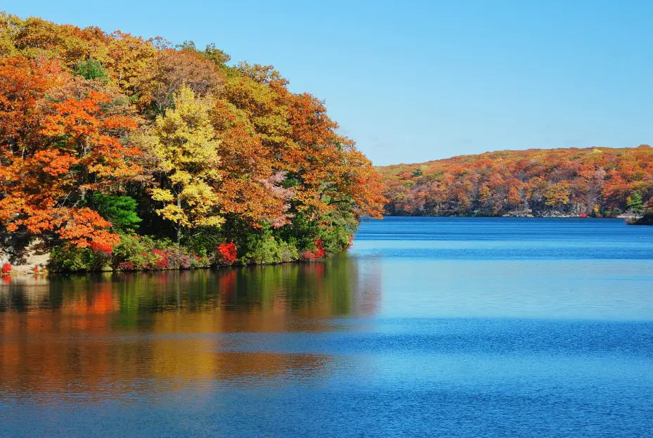 Autumn leaves along banks of Hudson River