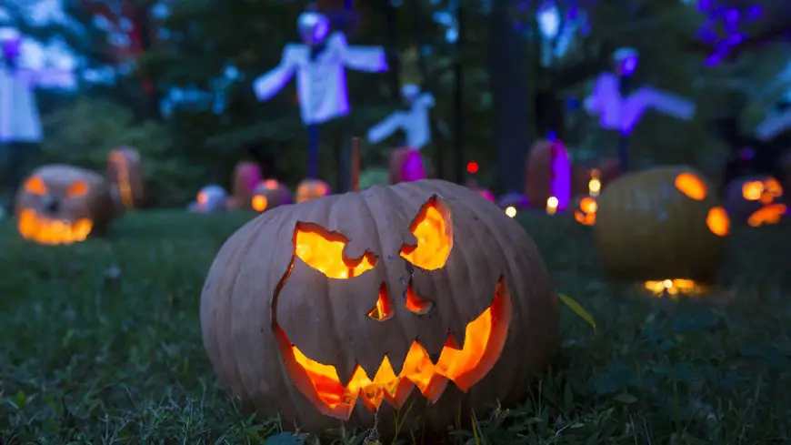 Halloween pumpkins