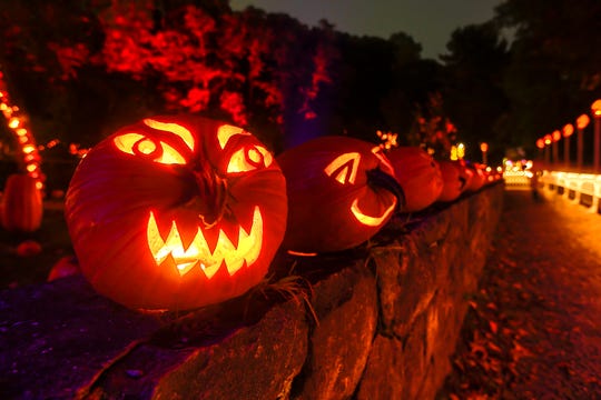 Carved pumpkins at the Great Pumpkin Blaze