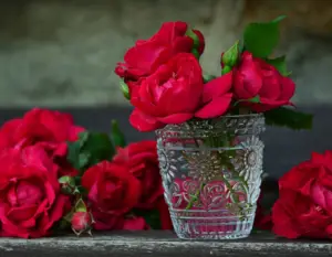 Red roses in crystal vase