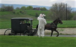 Easter bunny with Amish cart