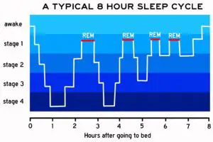 REM sleep cycle chart