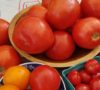 Bowls of red and yellow tomatoes