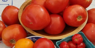 Bowls of red and yellow tomatoes