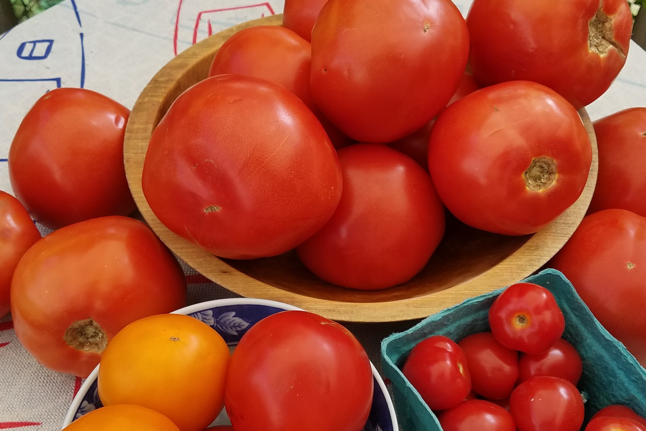 Bowls of red and yellow tomatoes