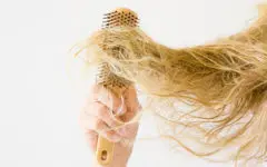 brushing tangled dry hair