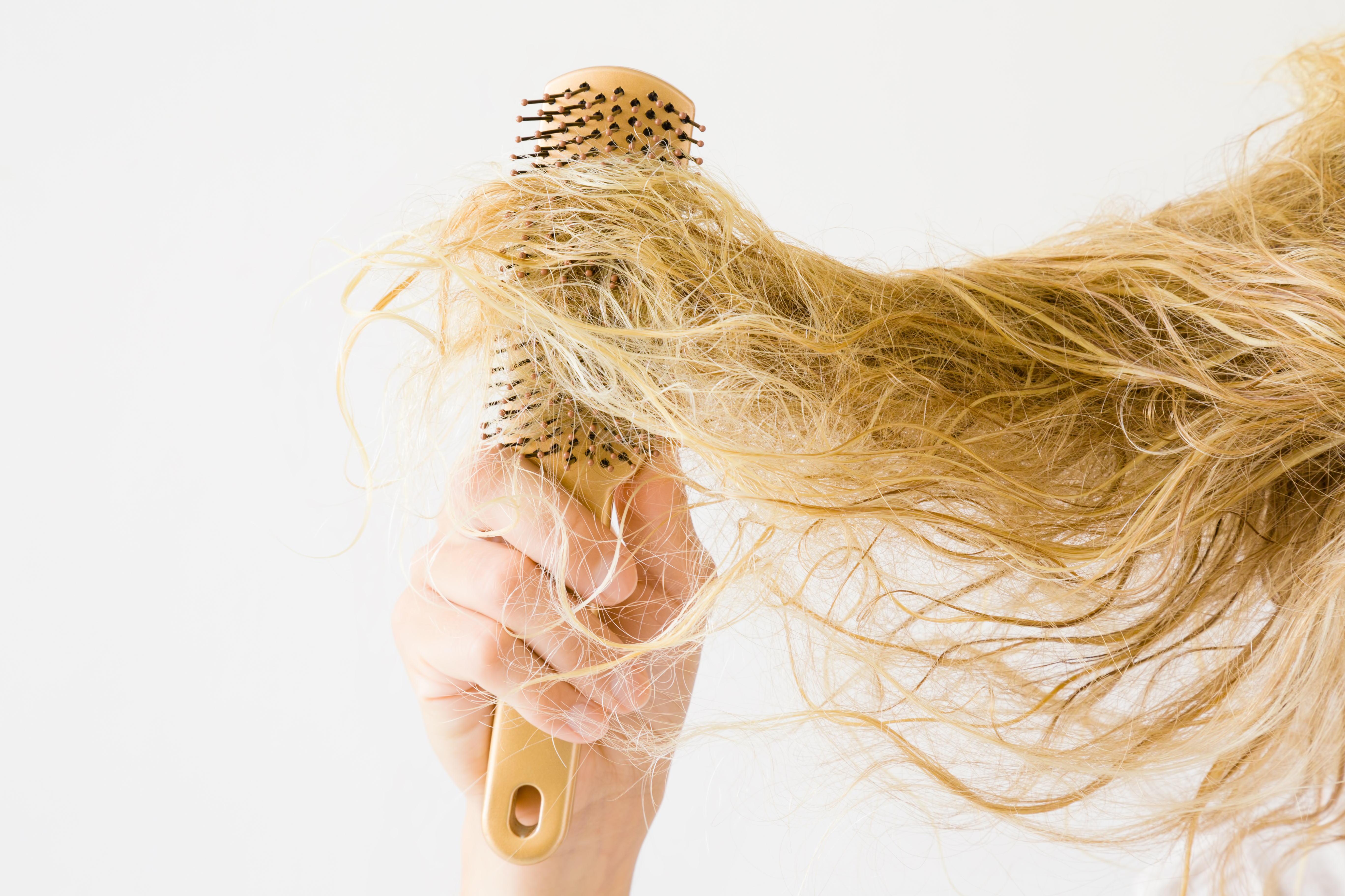 brushing tangled dry hair