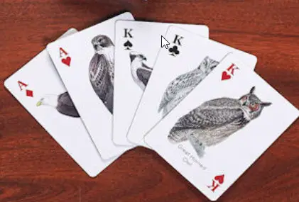 Wild bird playing cards