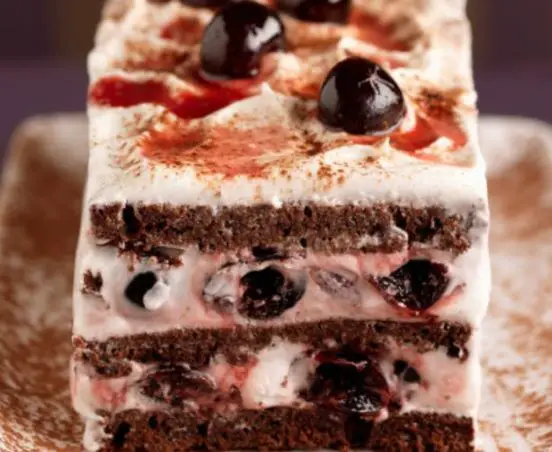 Black forest Christmas log