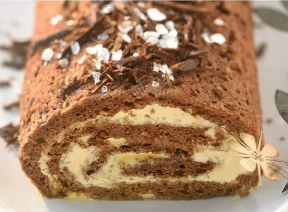 Tiramisu buche de noel