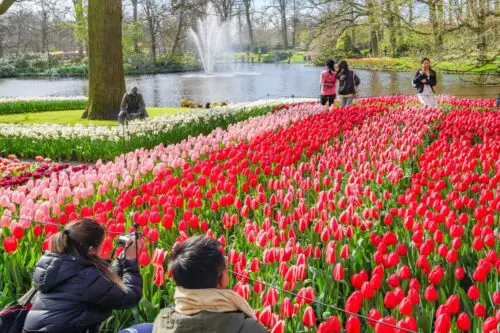Keukenhof