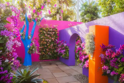 Orchid Show Mexican Modernism