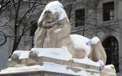 NY Public Library lion in snow