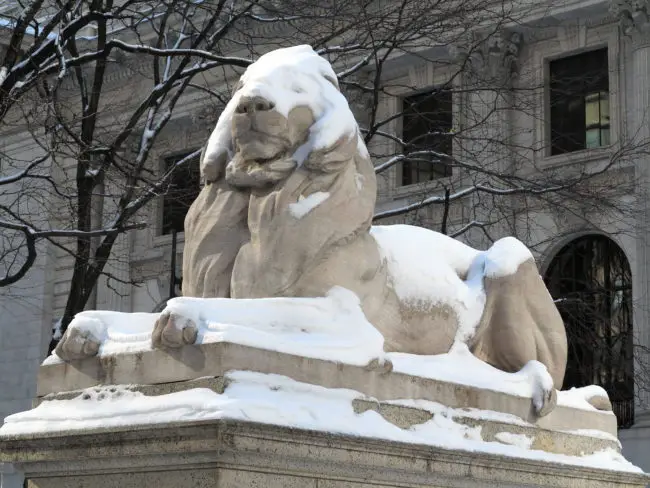 NY Public Library lion in snow