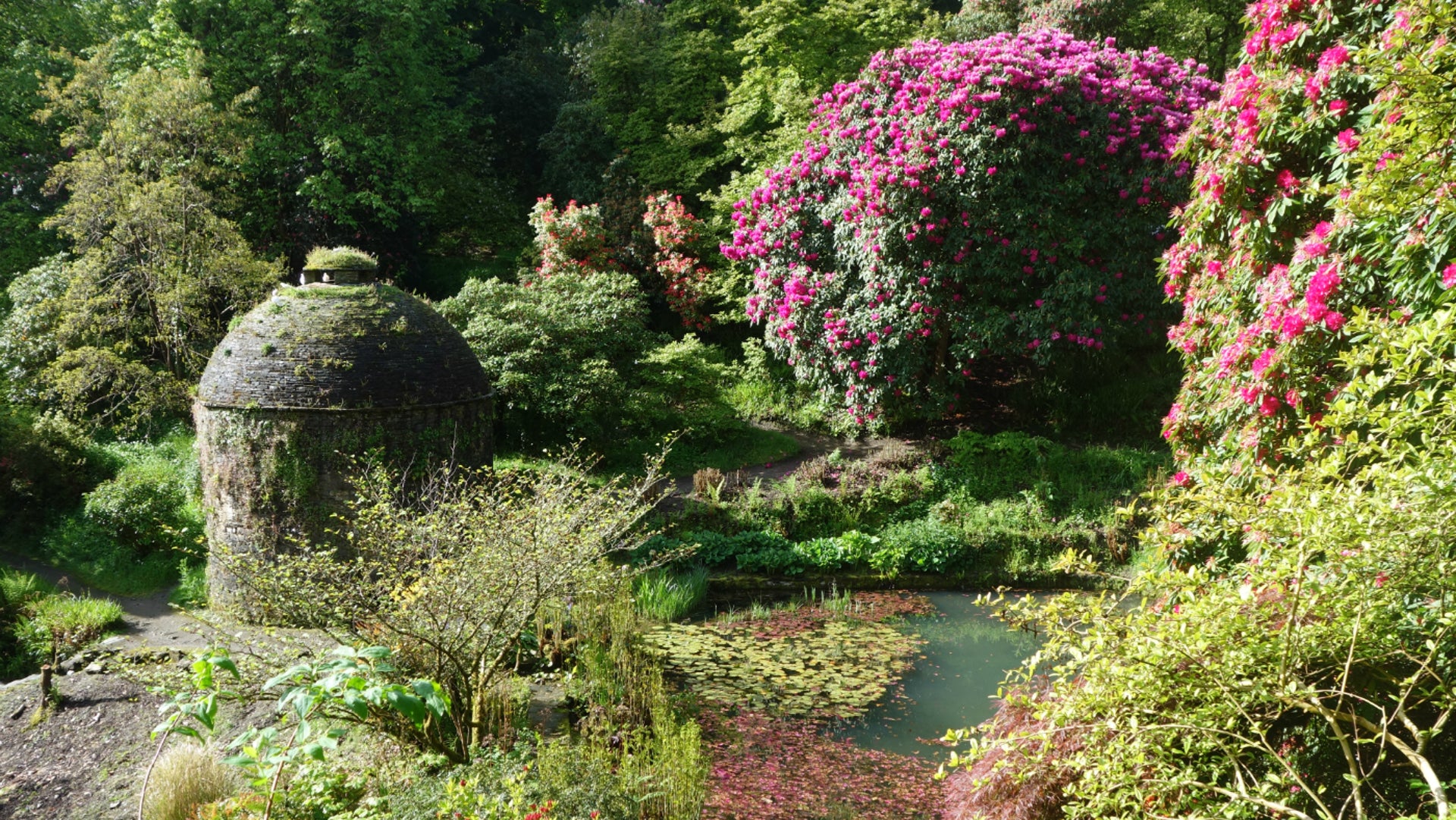 Garden at Cotehele