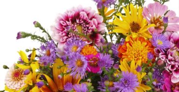 best flowers cutting garden