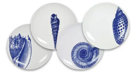 Caskata seashell canape plates