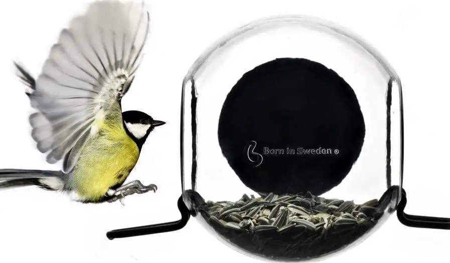 Bird feeder from Sweden