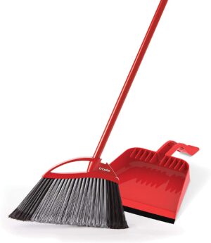 Pet broom and dustpan