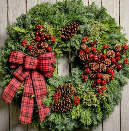 Fresh evergreen Christmas wreath with ribbon