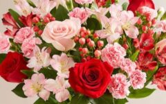 Beautiful red and pink flowers for Valentine's Day