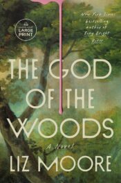 The God of the Woods book cover