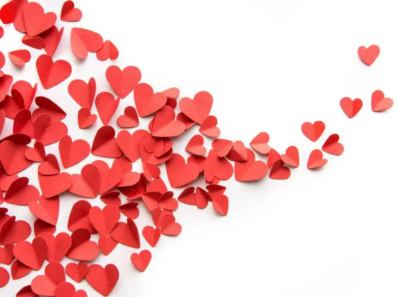 Flutter of red hearts